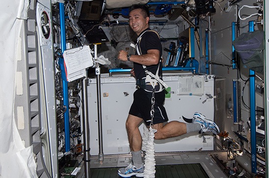 Astronaut Koichi Wakata exercising while equipped with a bungee harness on board the International Space Station.