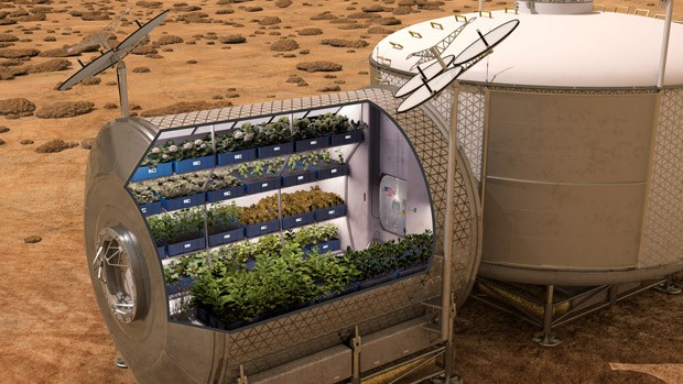Trays of plants in a sheltered structure on the surface of Mars.