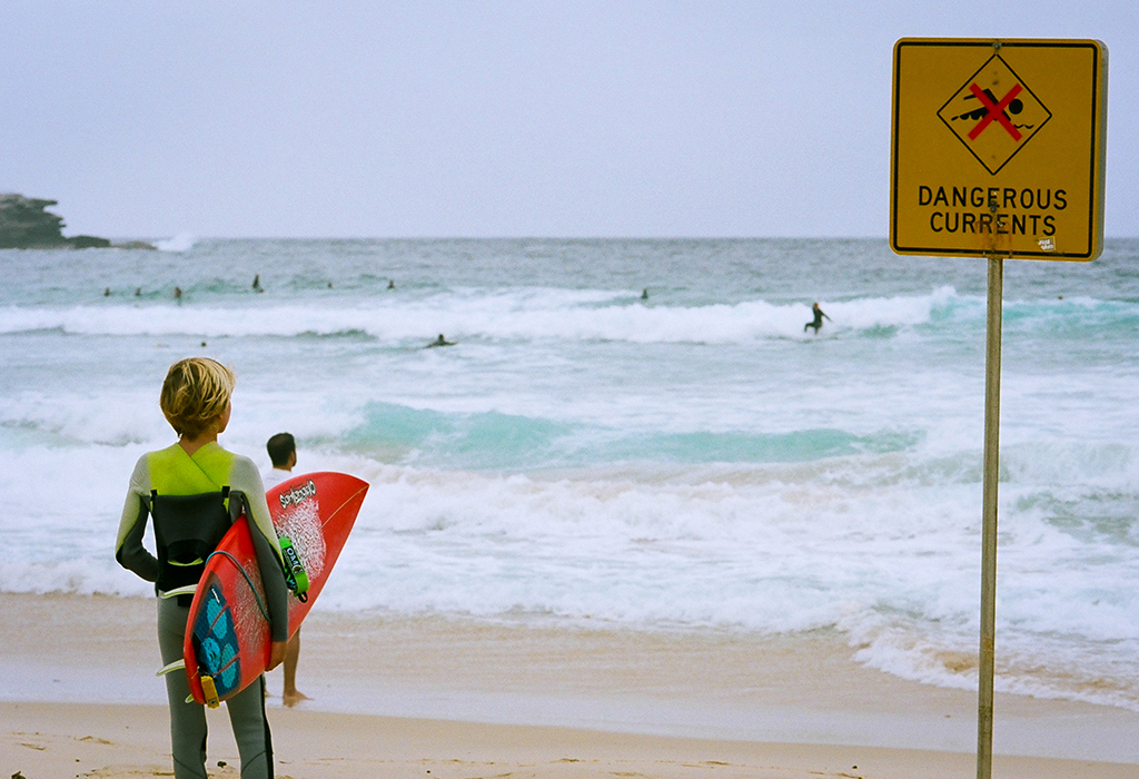 The greatest danger at the beach - Curious