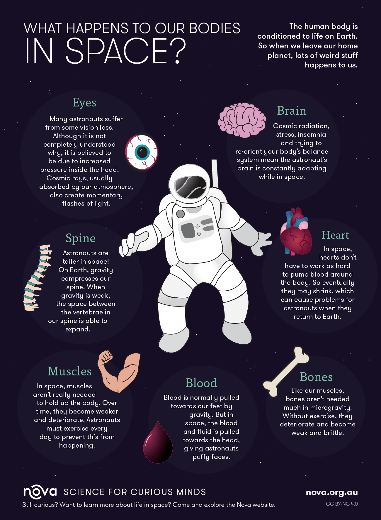 Infographic What Happens To Our Bodies In Space 