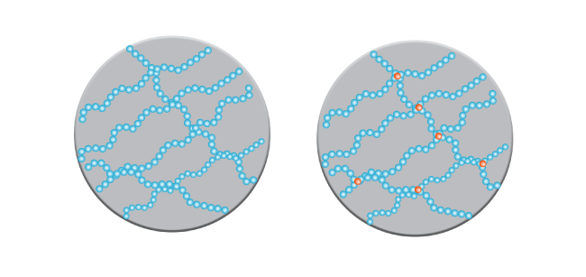 Polymers From Dna To Rubber Ducks Curious