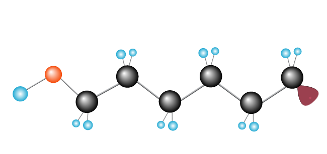 plastic polymer structure