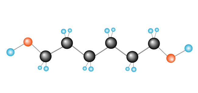 Scientists Say: Polymer