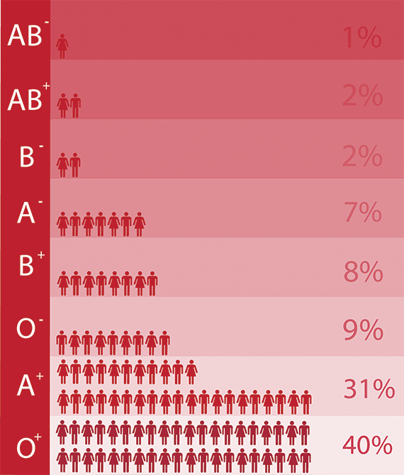 Infographic showing how common different blood types are in Australia