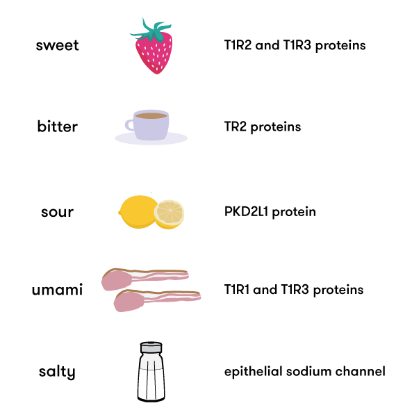 Accounting For Taste Curious