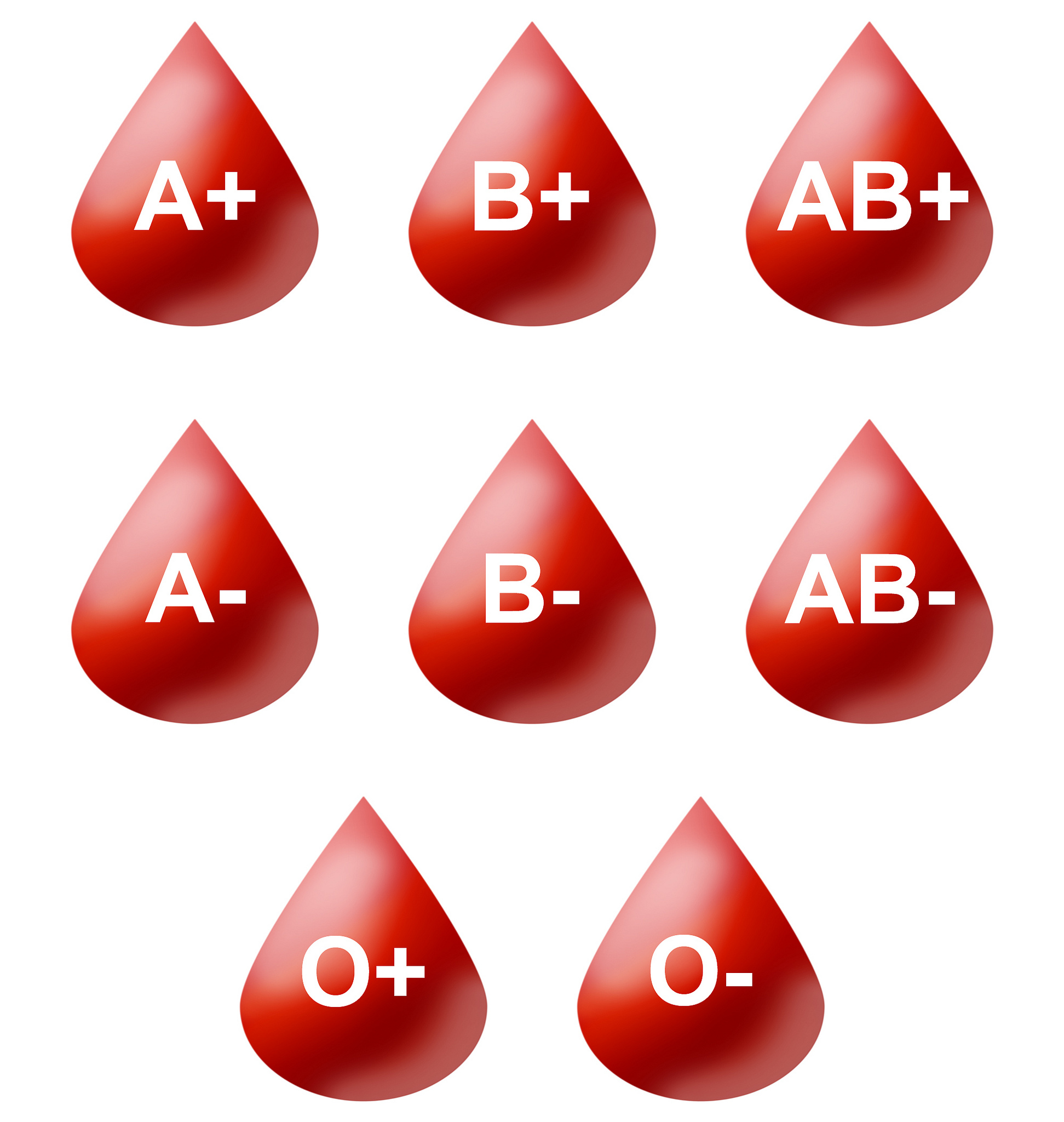 Understanding Different Blood Types Curious