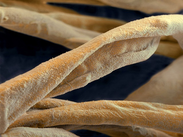 Textile fibres treated with nanotechnology to make them stain resistent