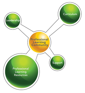 research methods for understanding professional learning