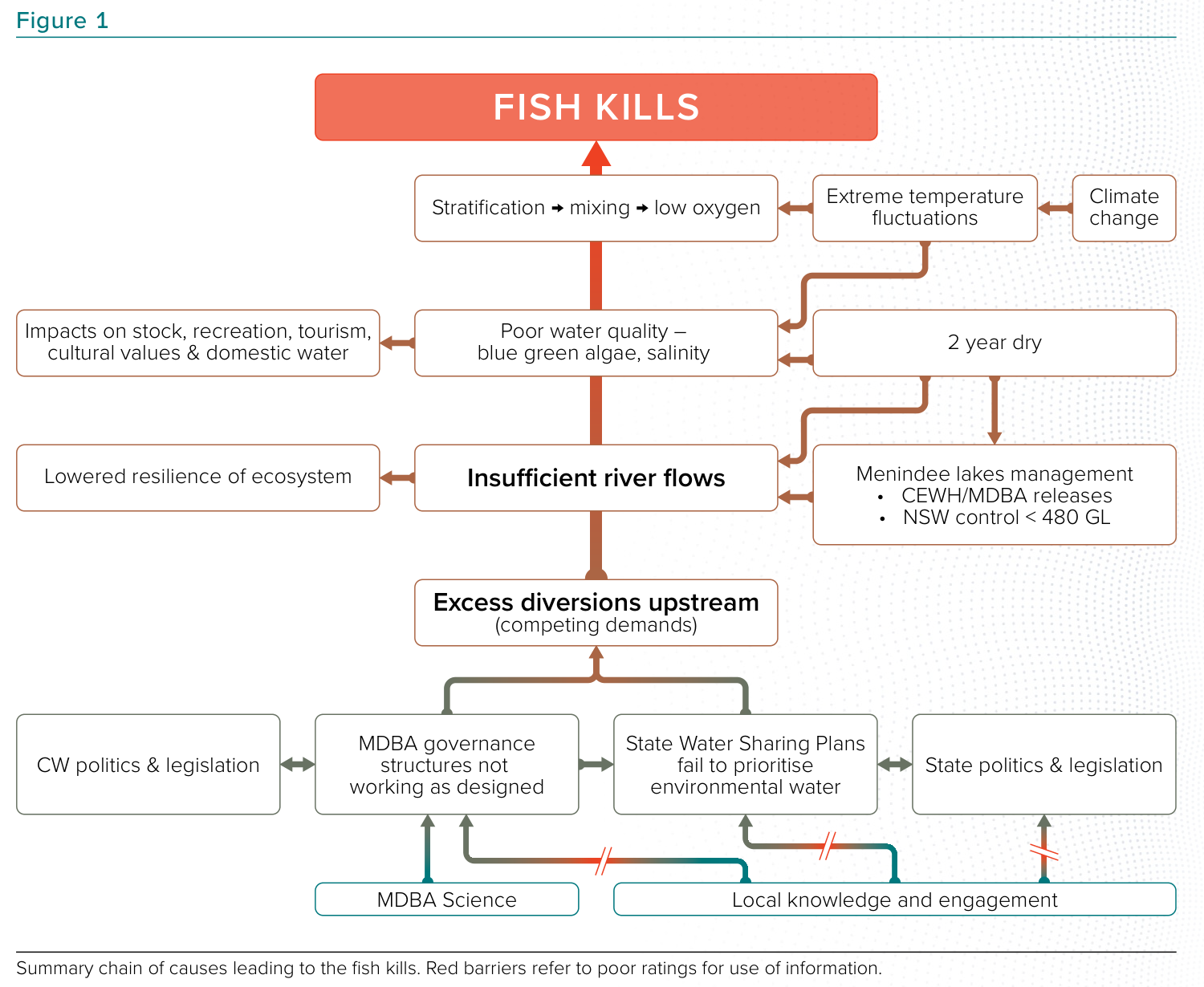 A flowchart that shows the factors that contribute to fish kills.