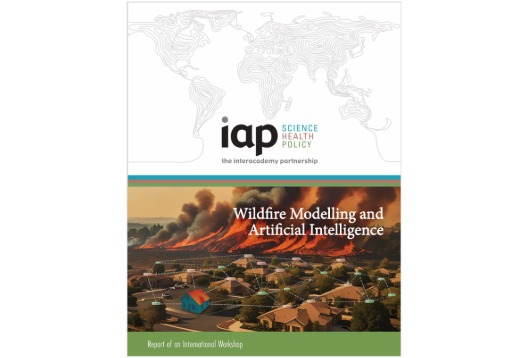 Cover of the IAP report