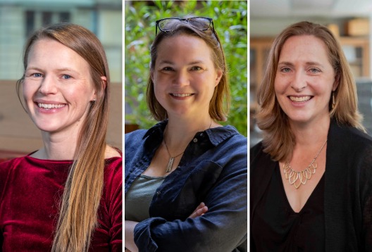 Three portrait images of women researchers smiling