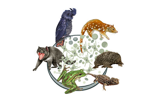 A logo with a Tassie devil, black cockatoo, quoll, echidna, lizard and frog
