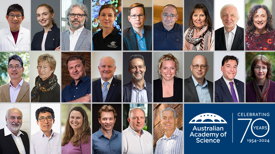 Academy announces 2024 Fellows for outstanding contributions to science