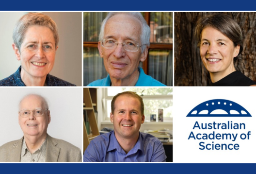 A collage of five headshots and the Academy logo