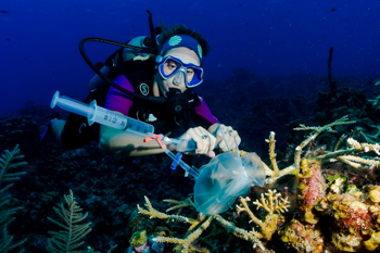 Marine researchers receive Max Day Awards