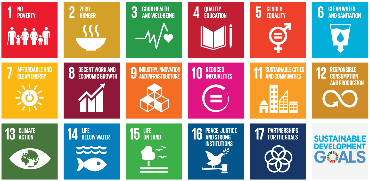 Disruption of 2020 provides opportunities to accelerate progress on Sustainable Development Goals