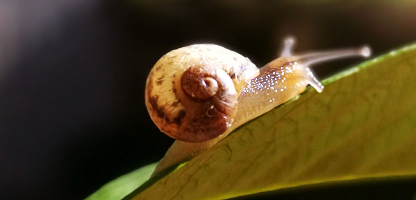 Maths and photography combine in the 2020 scienceXart schools competition