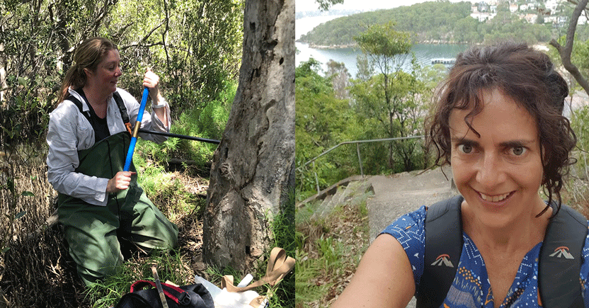 Mangroves help us understand droughts and floods, and the climate-altering chemistry of kelp: Thomas Davies 2020 awardees