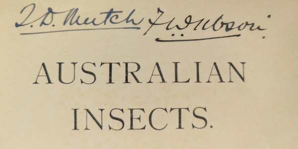 Excerpt of title page of Australian insects