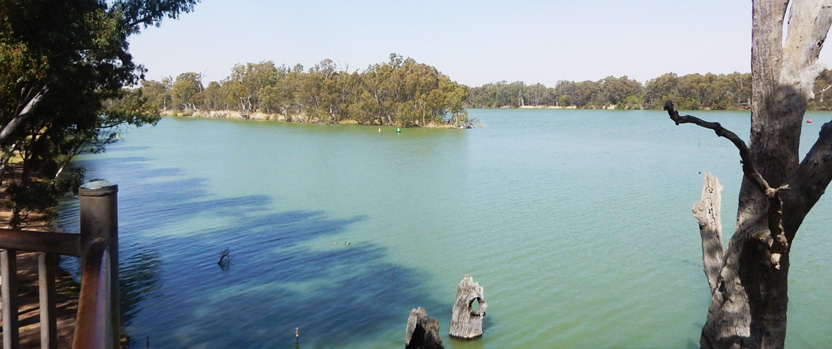 Panel of experts to review fish kill announced