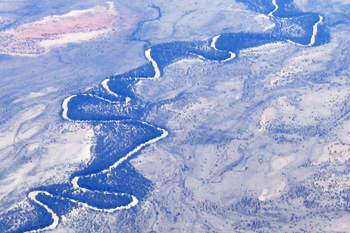 Academy to provide science advice on fish kill