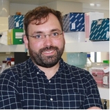 Elevating our voices: Reflections on the International Science Council from an EMCR perspective