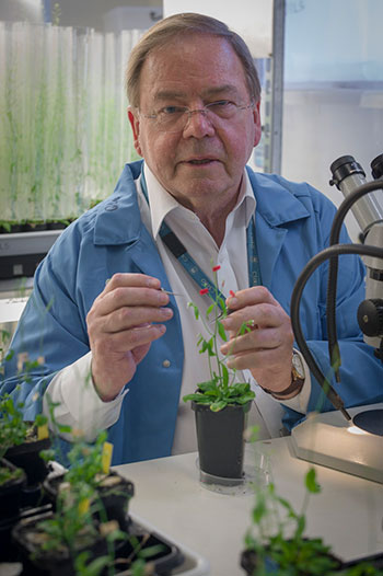 Dr Jim Peacock in the lab with plant specimens.