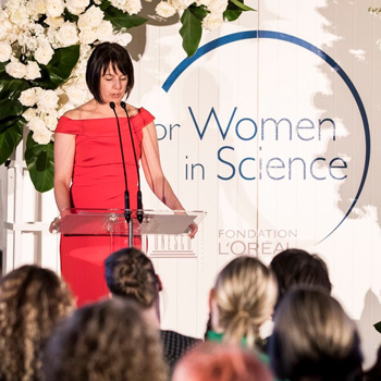 Message from the Chief Executive—November 2017