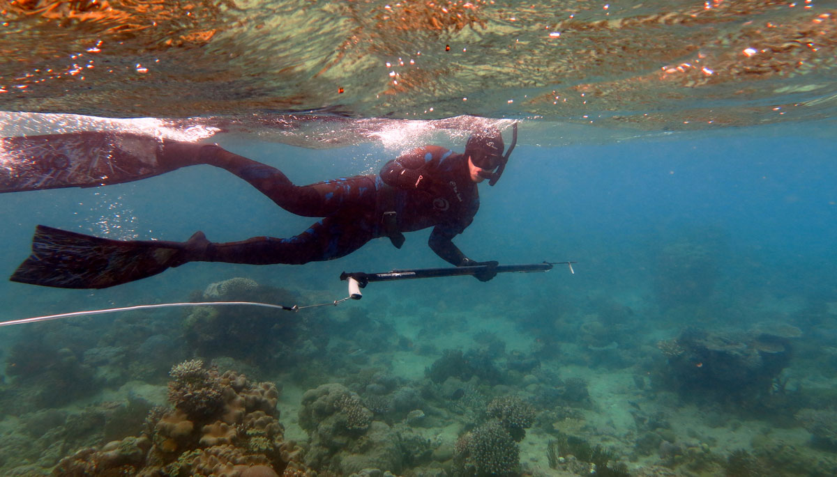 Max Day awardees aim to safeguard culture and change behaviours