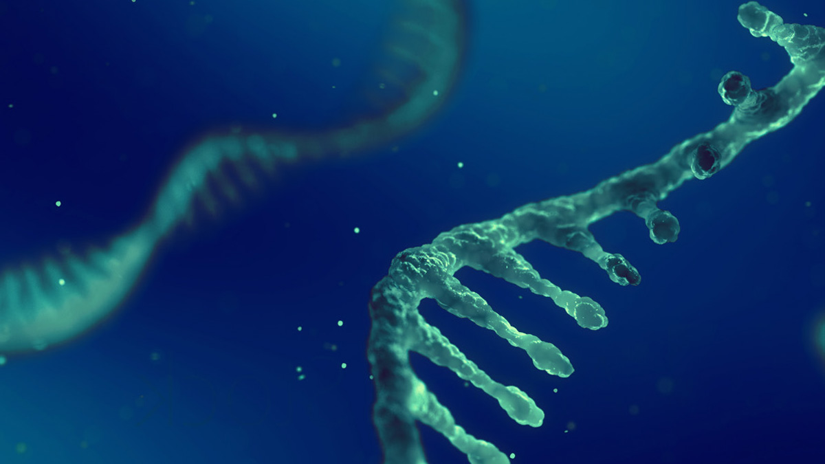 Proceedings of National RNA Science and Technology Roundtable released