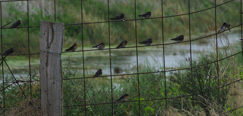 Maths and photography combine in the 2020 scienceXart schools competition
