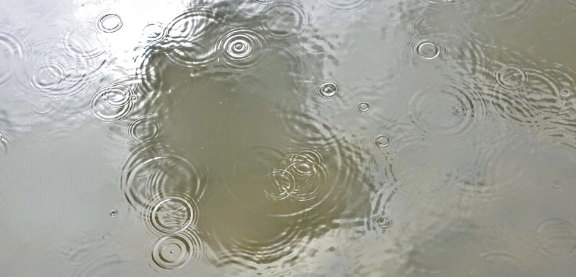 Maths and photography combine in the 2020 scienceXart schools competition