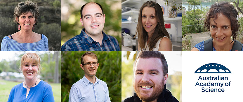 Researchers to study ‘fairy circles’, tree rings and smoke signals with Academy support