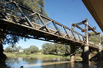 Academy welcomes independent assessment of fish deaths