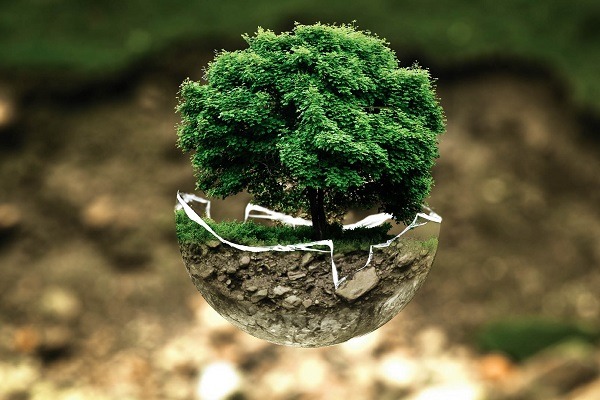 Sustainability focus for new program launched by Academy-thumbnail