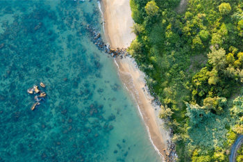 Expert working group appointed for Future Earth Australia’s Strategy on Sustainable Oceans and Coasts