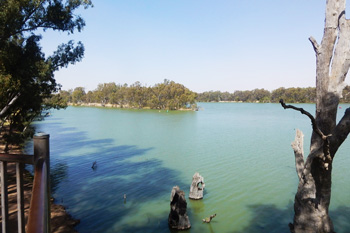 Panel of experts to review fish kill announced-thumbnail