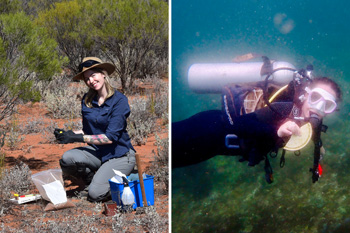 2025 Max Day awardees to investigate ecosystem productivity and microplastics-thumbnail