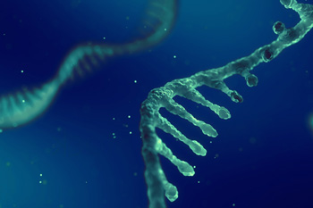 Proceedings of National RNA Science and Technology Roundtable released-thumbnail