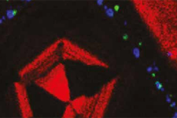 2016 National Research Infrastructure Roadmap-thumbnail