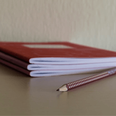 Chief scientist roadmap for primary school science released