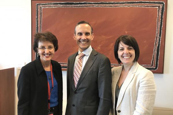 Greater coordination of research needed to ‘crack the brain’s code’-thumbnail