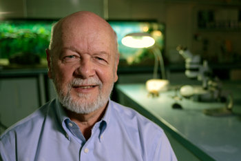 Fellows’ research projects feature in ARC funding-thumbnail