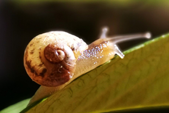 Maths and photography combine in the 2020 scienceXart schools competition-thumbnail