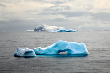 Conferences to explore dynamics of southern ocean and conservation of Australian plants