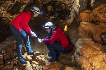 Academy welcomes STEM Equity Monitor report