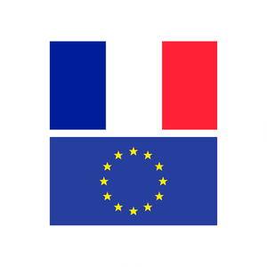 Mobility EU and France icon
