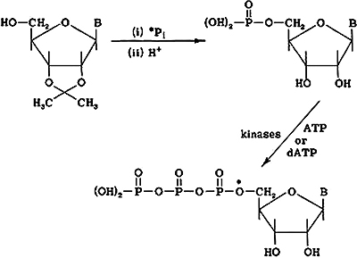 Robert Henry Symons 1934–2006
