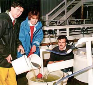 Three people pouring liquid from buckets to a container in an industrial setting