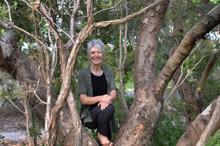 Associate Professor Jane Elith